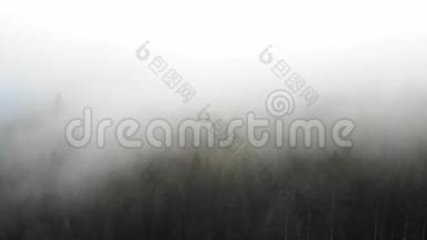 雾蒙蒙的早晨，在山区的地形。 雾延伸到针叶林上。 4K飞机